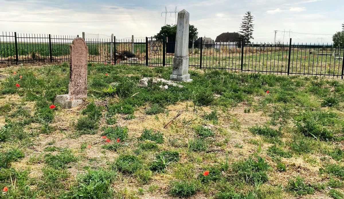 ESJF fences Jewish cemetery in Manđelos, Serbia