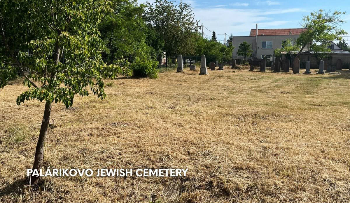 Together with our partners in Slovakia, UZZNO, we are currently carrying out cleaning work at several Jewish cemeteries