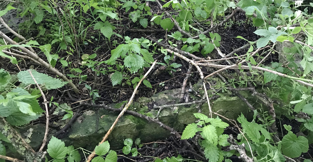 Ozerna Jewish Cemetery