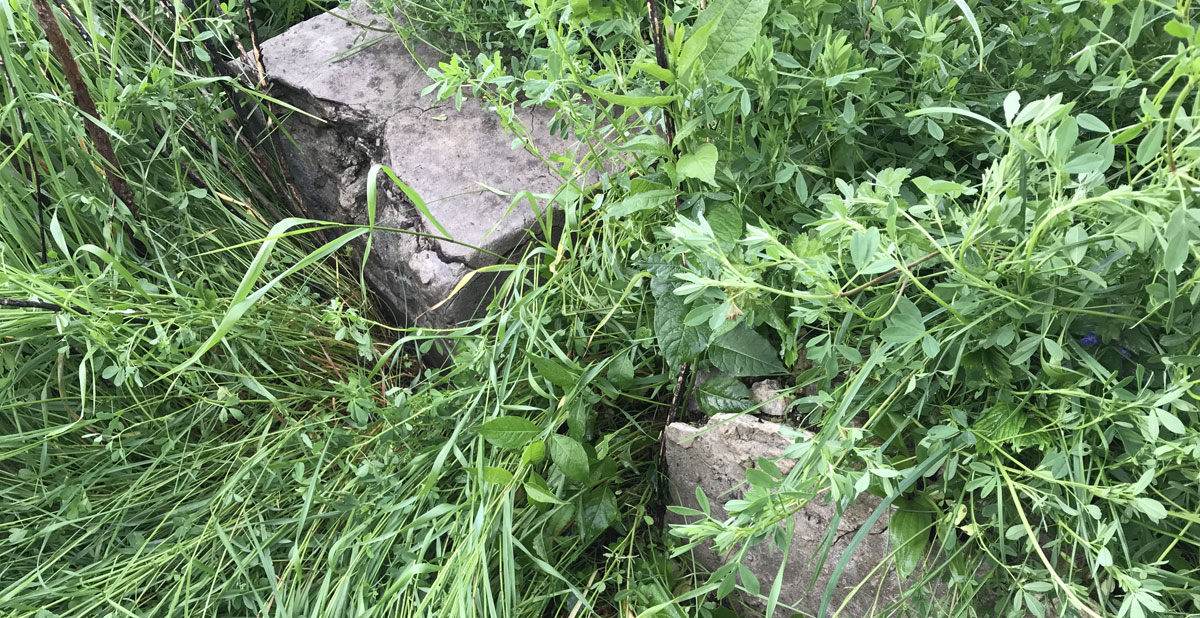 Ozerna Jewish Cemetery