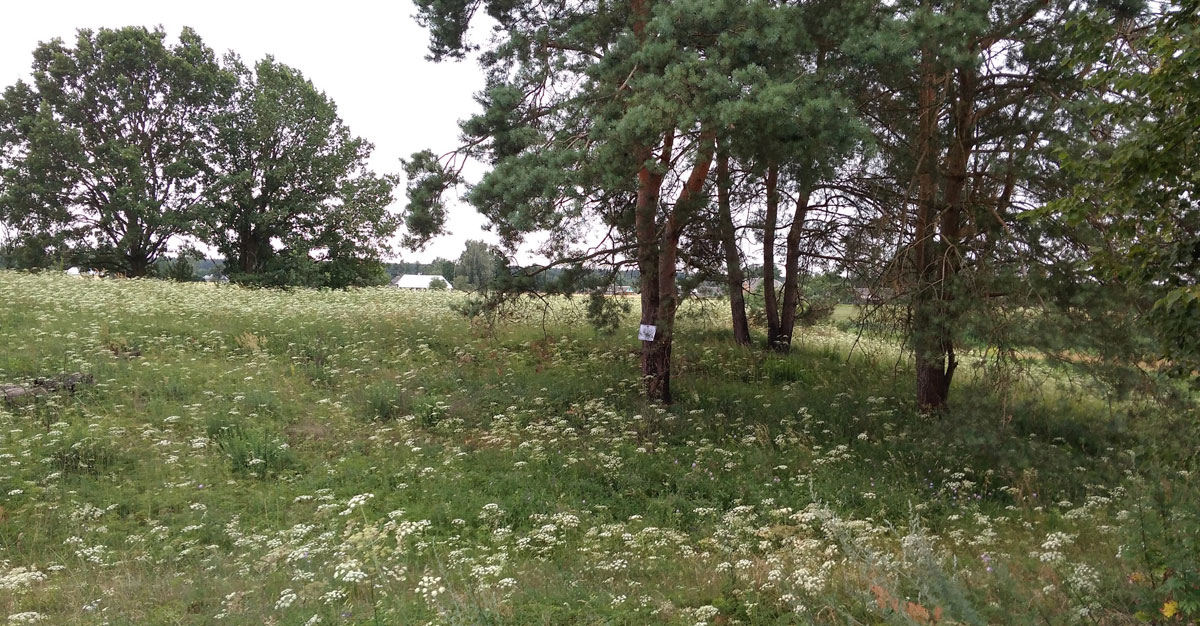 Toporiv Old Jewish Cemetery