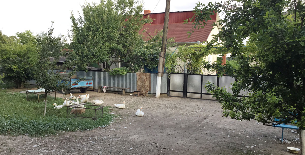 Ulashkivtsi Old Jewish Cemetery