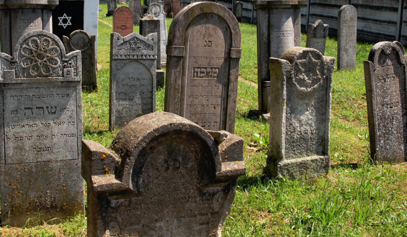 Special educational programme in August 2024