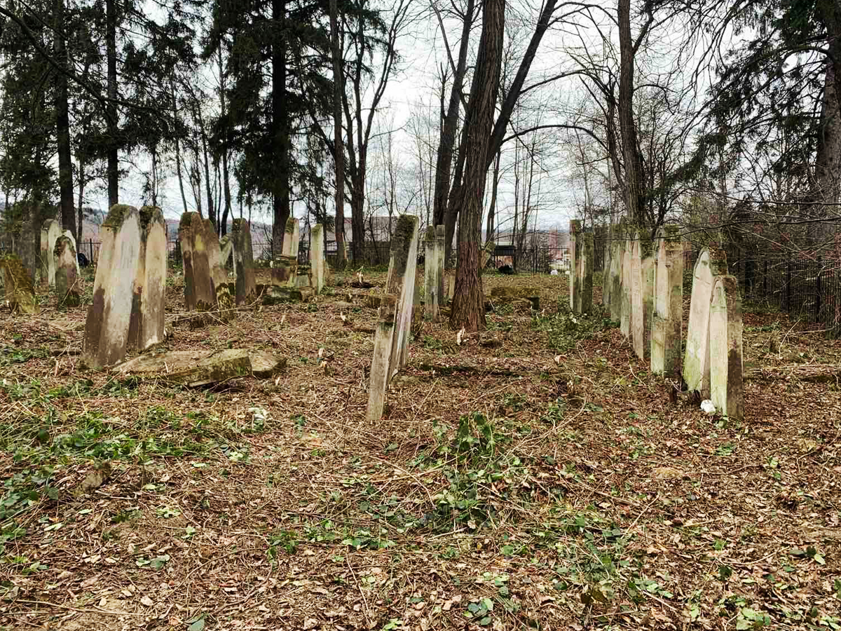 Banyliv-Pidgirnyi-fenced-esjf-up-1