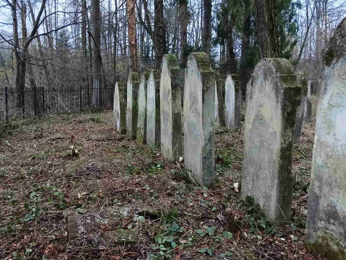 Banyliv-Pidgirnyi-fenced-esjf-up-3