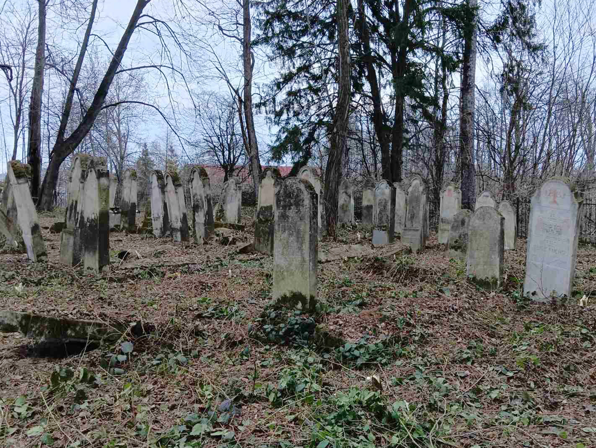 Banyliv-Pidgirnyi-fenced-esjf-up-4