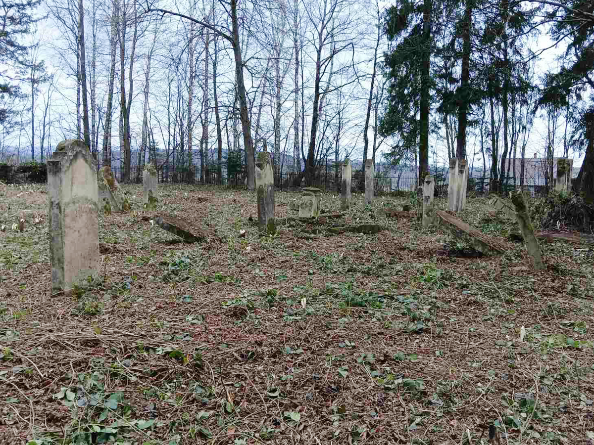 Banyliv-Pidgirnyi-fenced-esjf-up-5