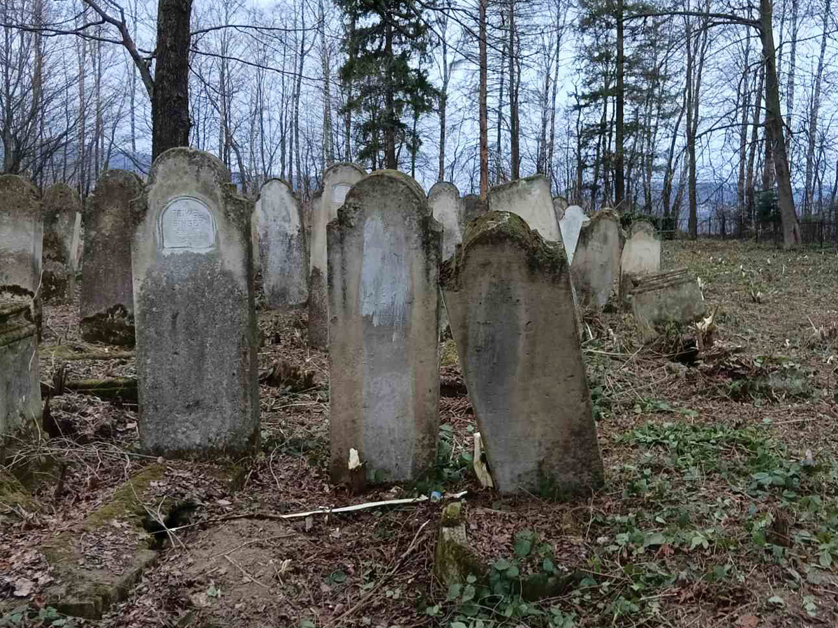 Banyliv-Pidgirnyi-fenced-esjf-up-6
