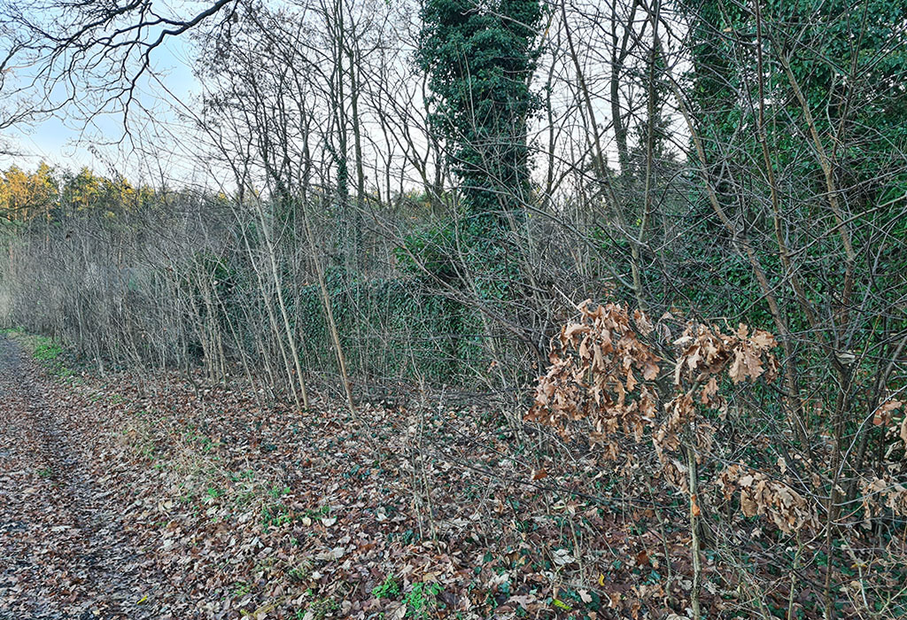 Bierutów New Jewish Cemetery
