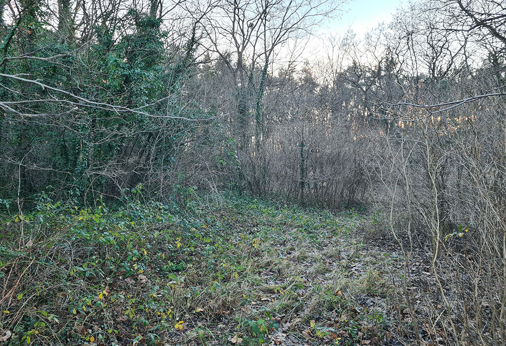 Bierutów New Jewish Cemetery