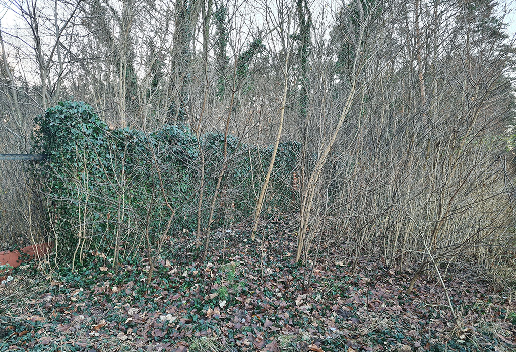 Bierutów New Jewish Cemetery