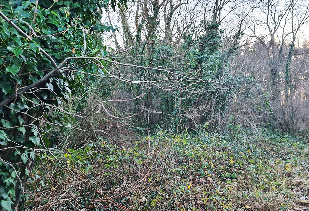 Bierutów New Jewish Cemetery