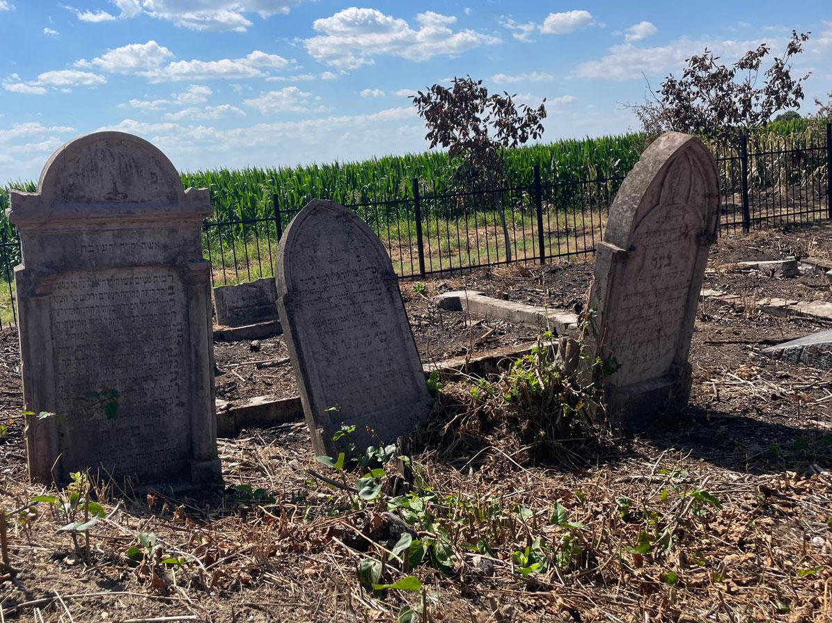 Calma-Jewish-Cemetery-fenced-esjf-4