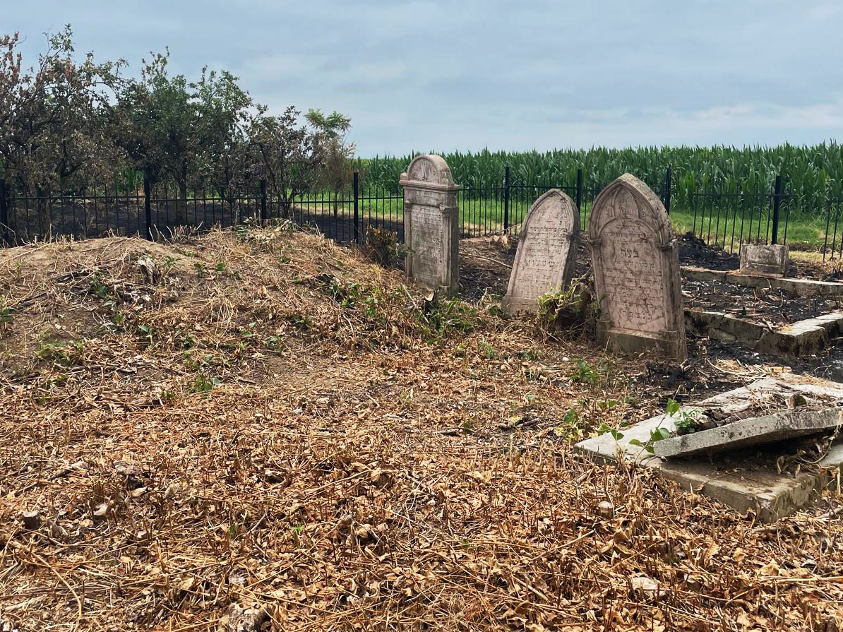 Calma-Jewish-Cemetery-fenced-esjf-7