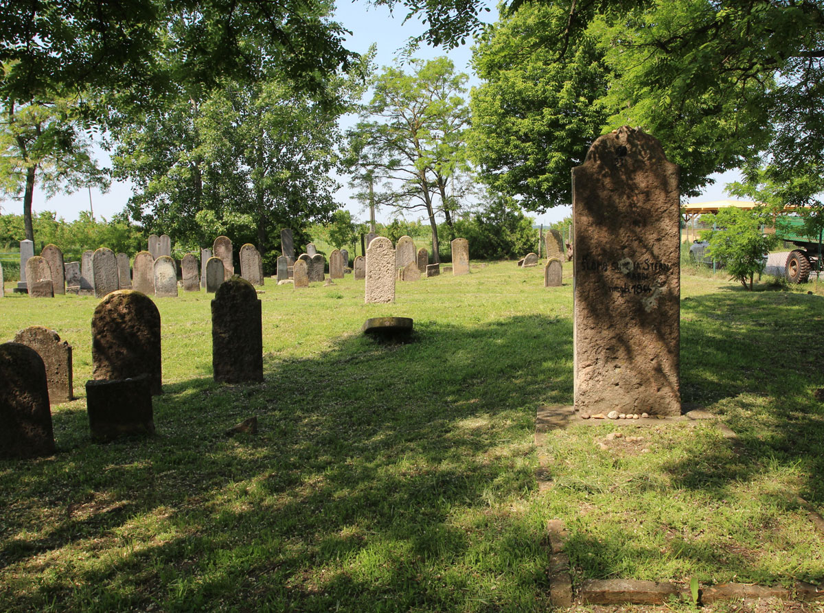 Dolny-Stal-Jewish-Cemetery-14