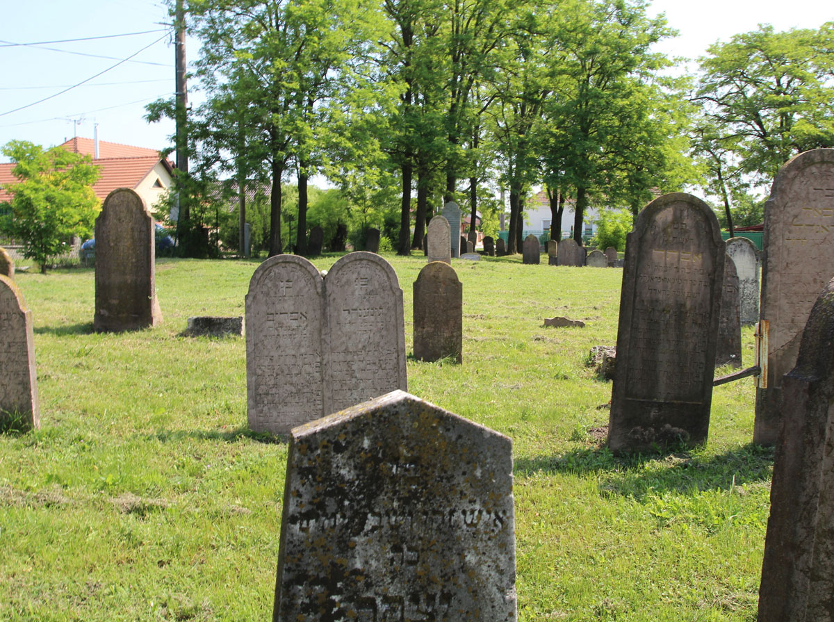 Dolny-Stal-Jewish-Cemetery-9