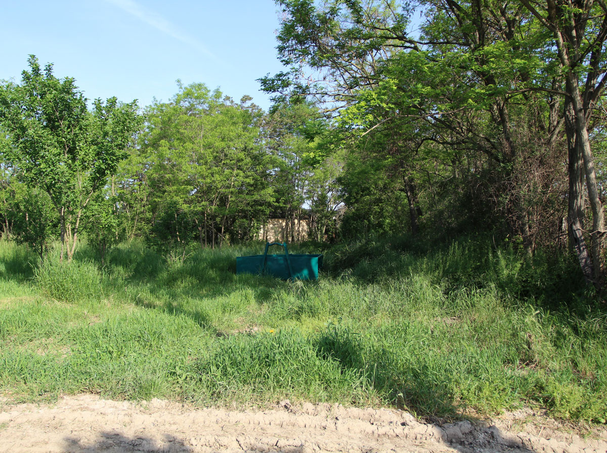 Drahovce-Jewish-Cemetery-3
