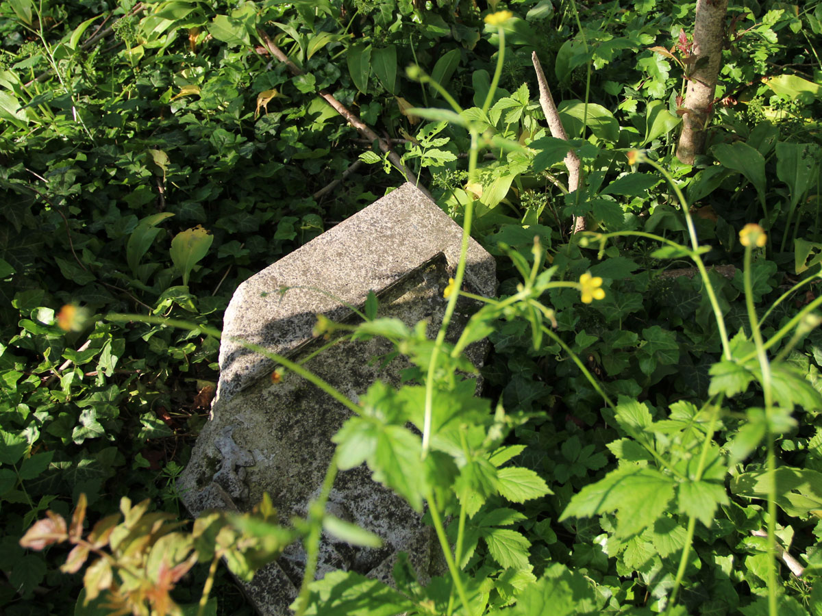 Drahovce-Jewish-Cemetery-5