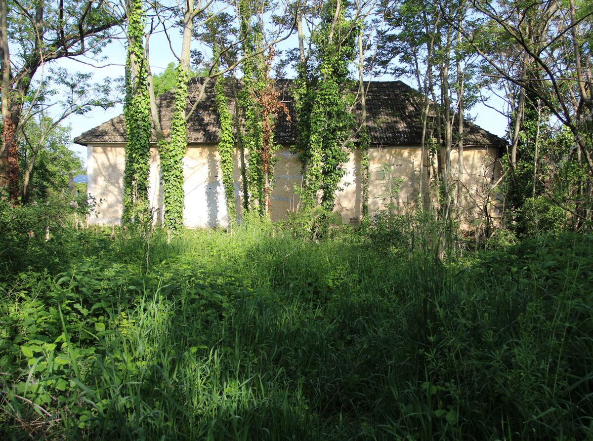 Drahovce-Jewish-Cemetery-7