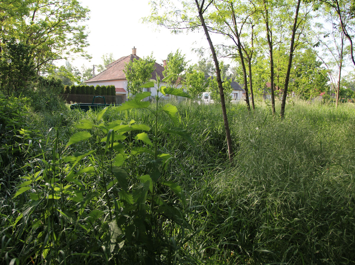 Drahovce-Jewish-Cemetery-8