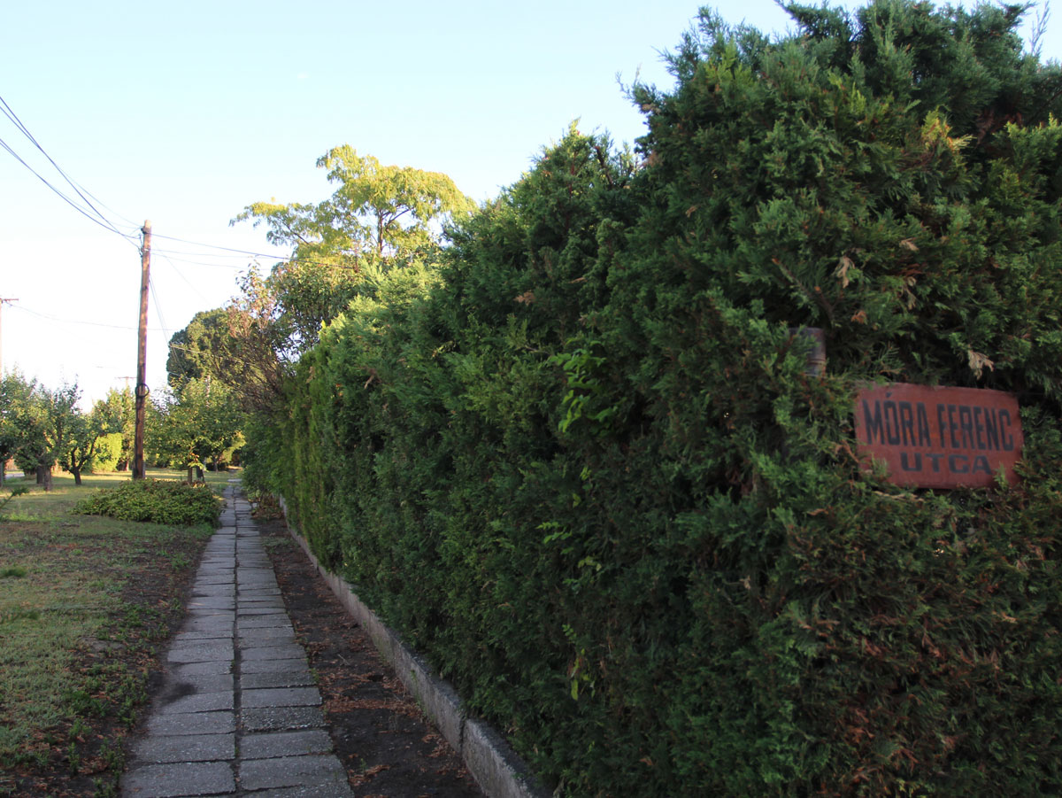 Enying-2-Jewish-Cemetery-3