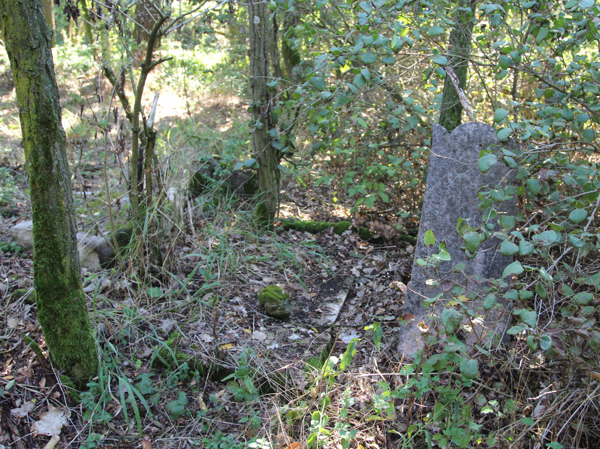 Felcsut-1-Jewish-Cemetery-3