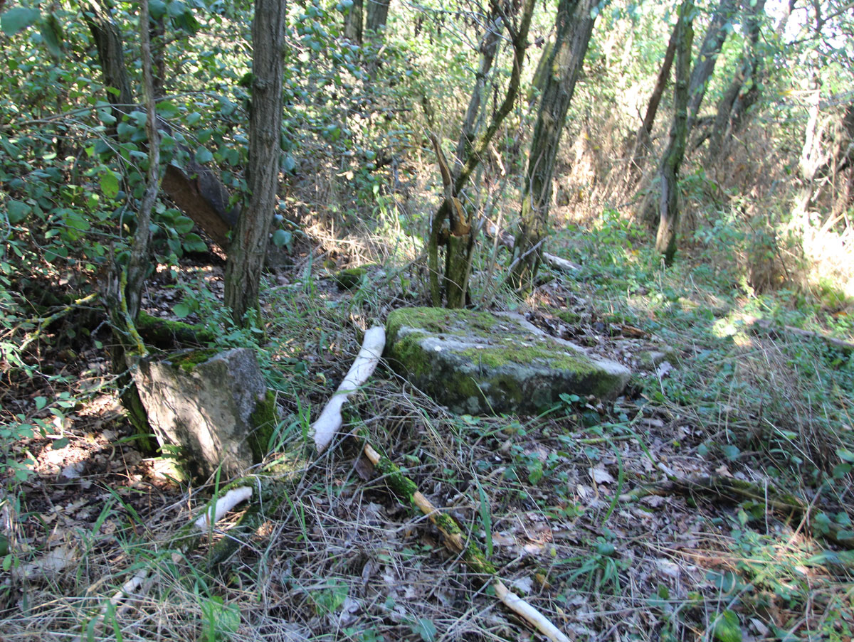 Felcsut-1-Jewish-Cemetery-4