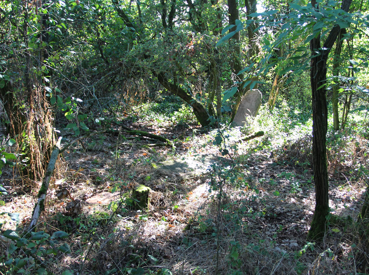 Felcsut-1-Jewish-Cemetery-5