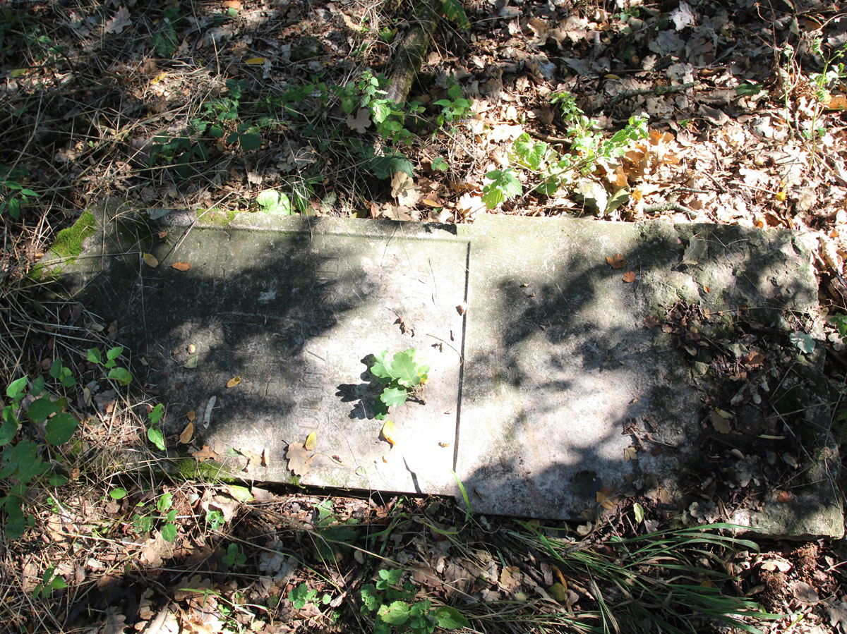 Felcsut-1-Jewish-Cemetery-7