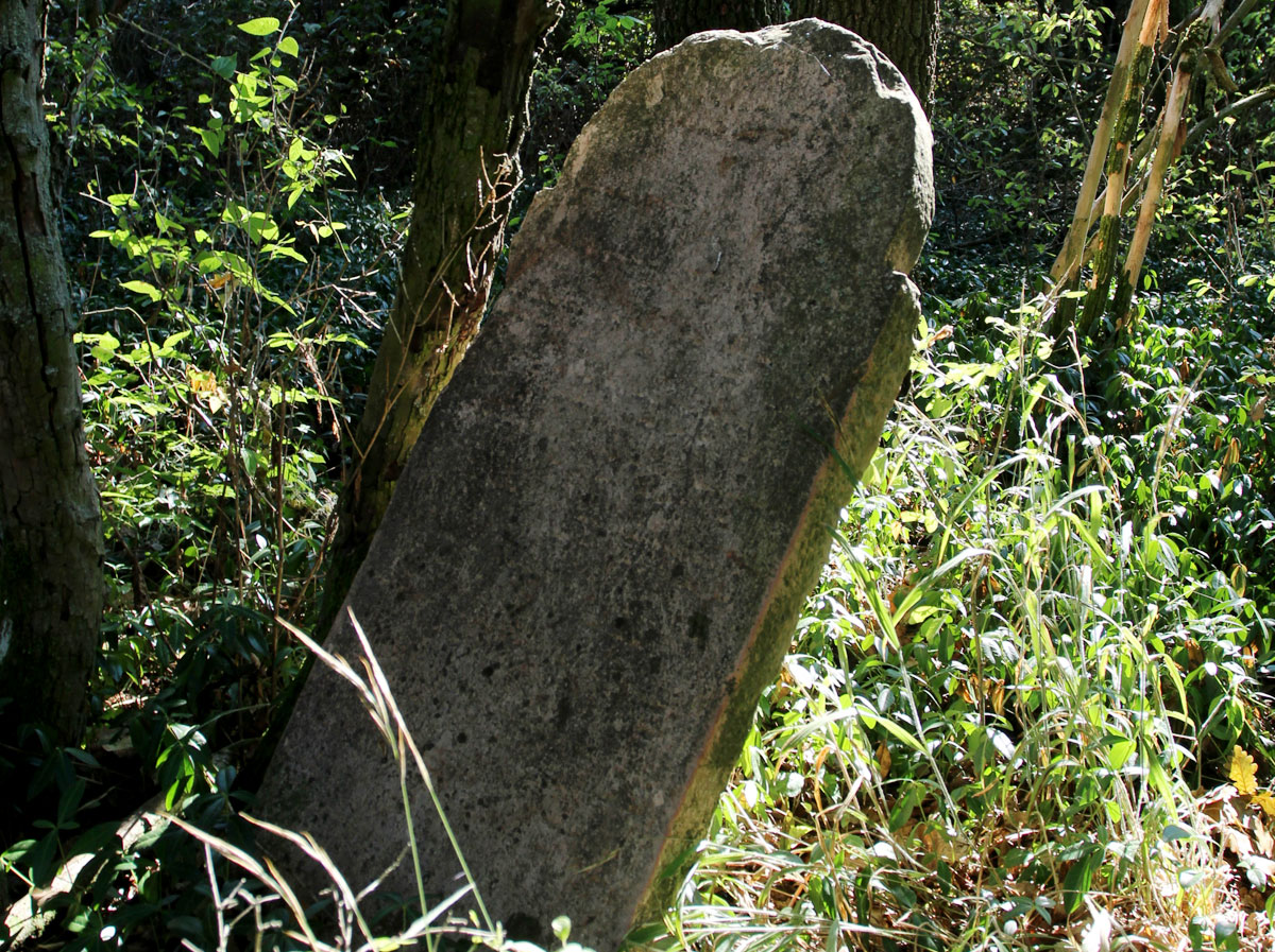 Felcsut-1-Jewish-Cemetery-8