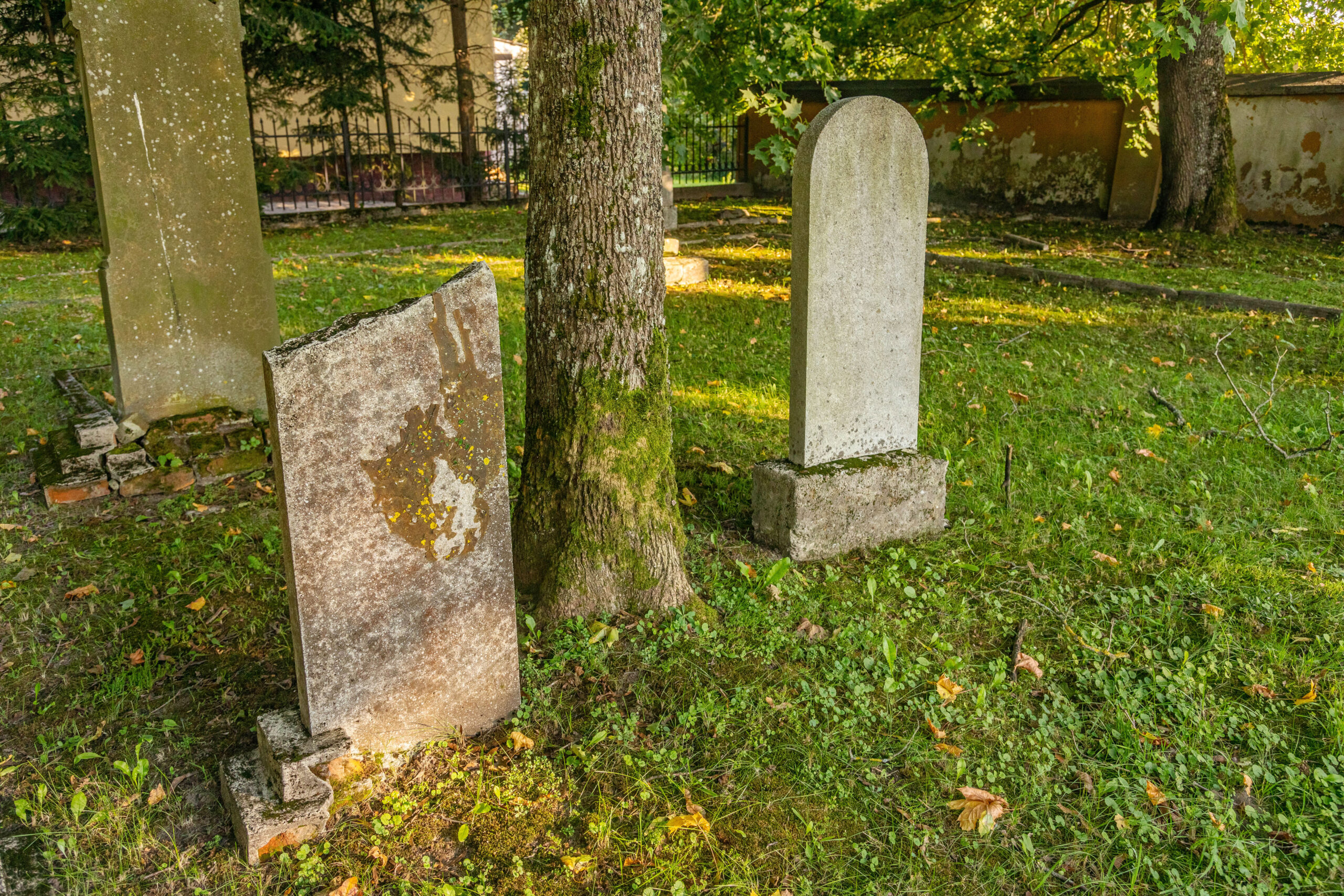 Gołdap Old Jewish Cemetery Gołdap Old Jewish Cemetery