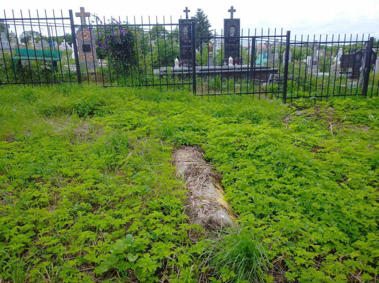 Horodenka-Old-fenced-8