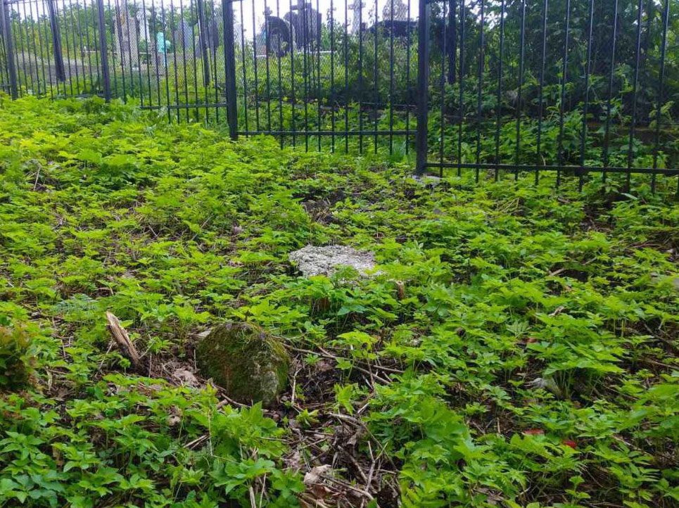 Horodenka-Old-fenced-9