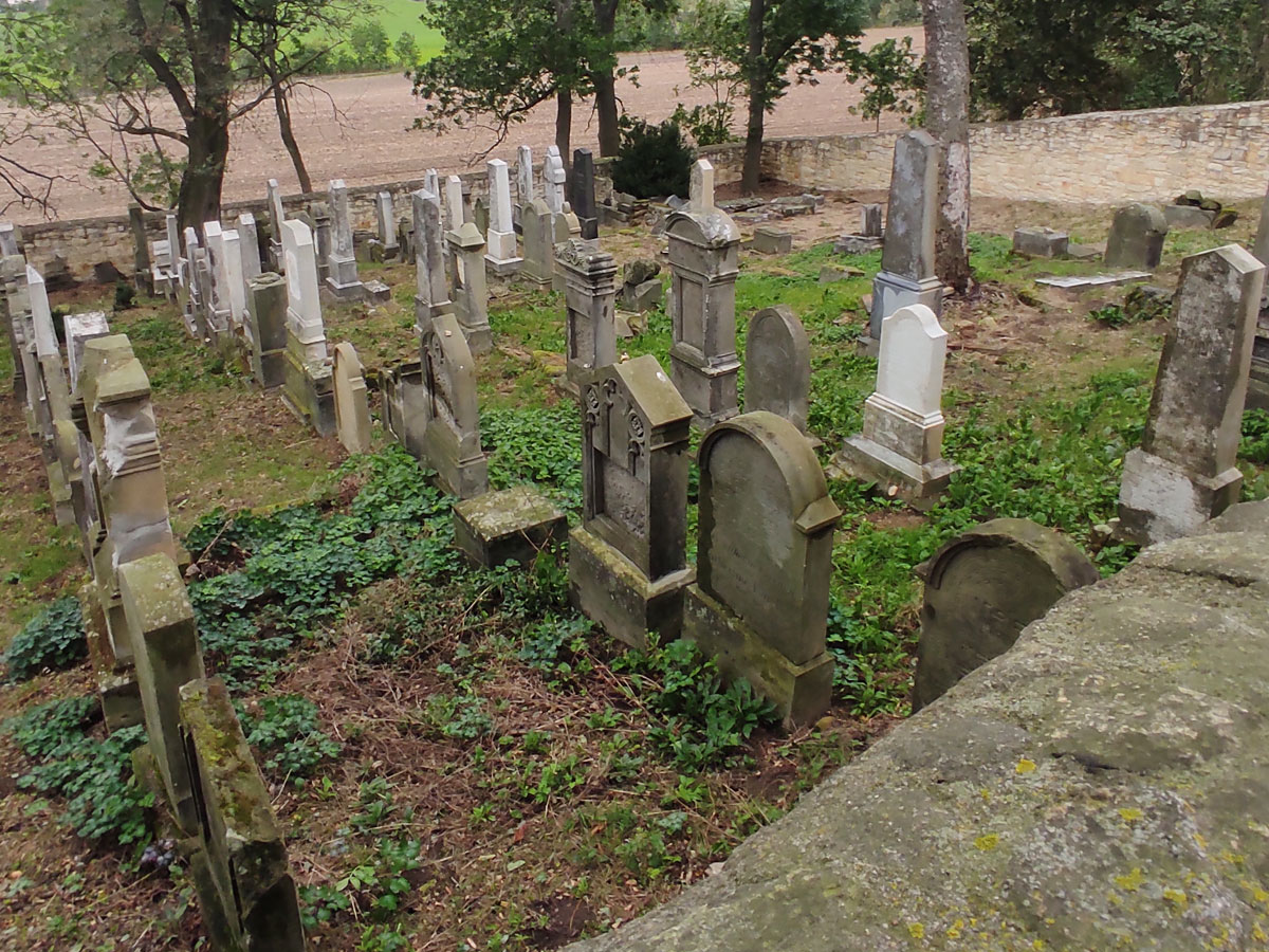 Hrivcice-Jewish-Cemetery-up-6