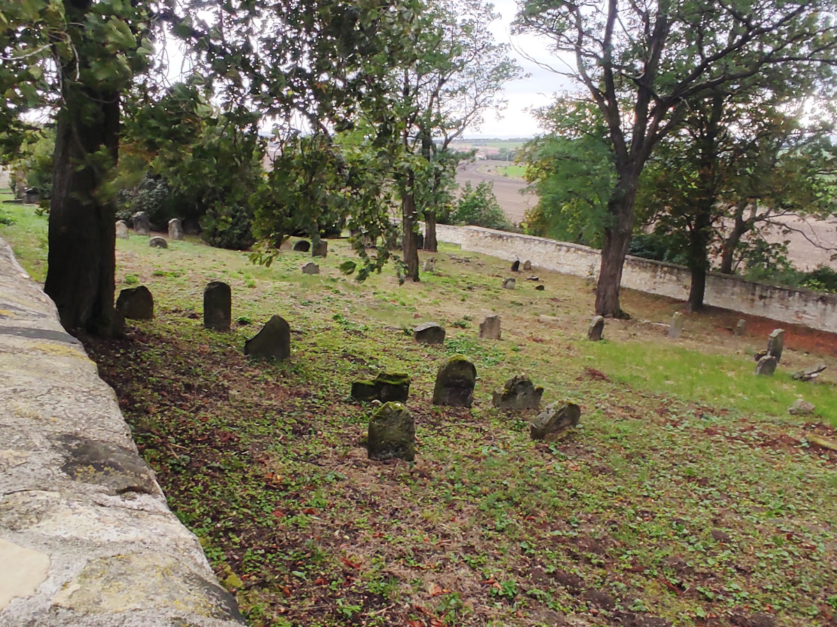 Hrivcice-Jewish-Cemetery-up-8