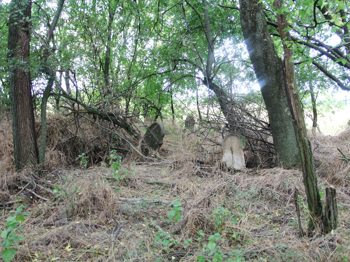 Kaloz-Jewish-Cemetery-3