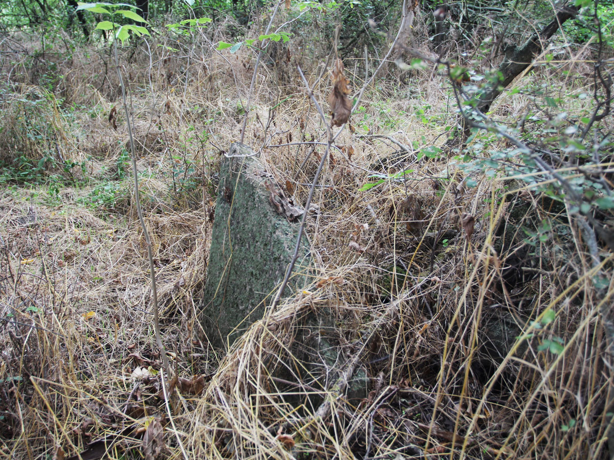 Kaloz-Jewish-Cemetery-4