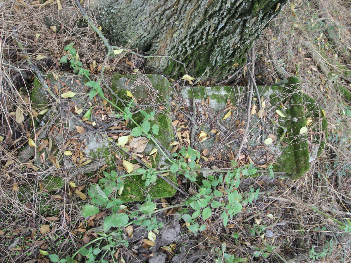 Kaloz-Jewish-Cemetery-5