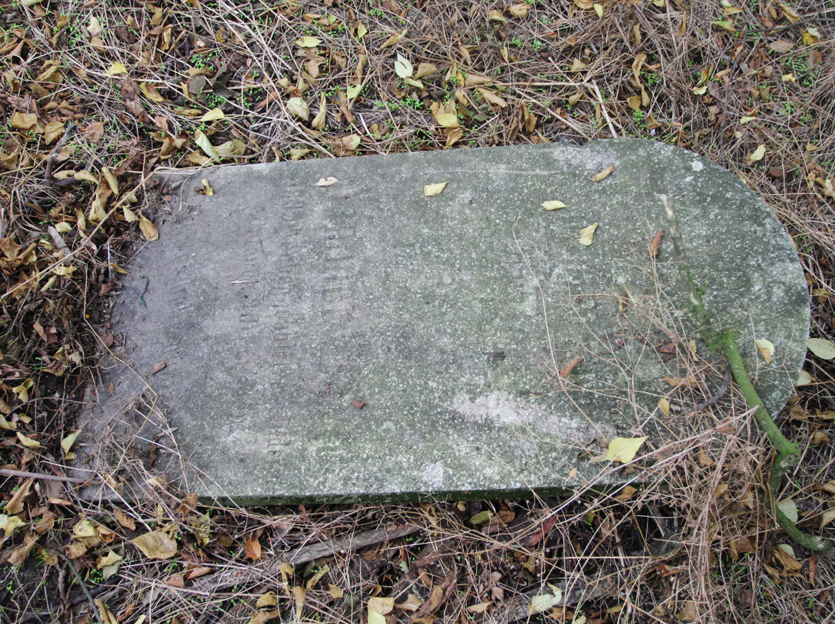 Kaloz-Jewish-Cemetery-6