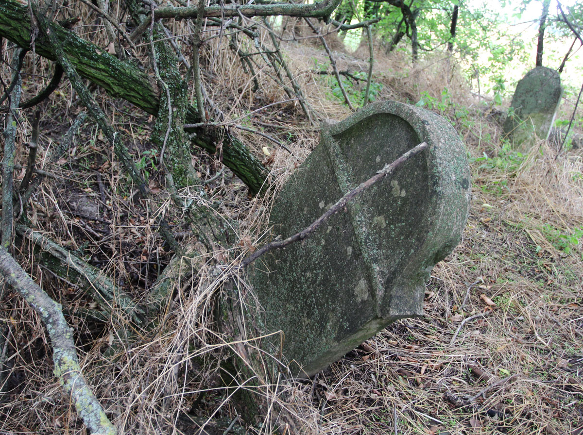 Kaloz-Jewish-Cemetery-7