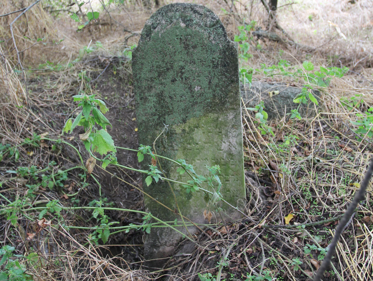 Kaloz-Jewish-Cemetery-8