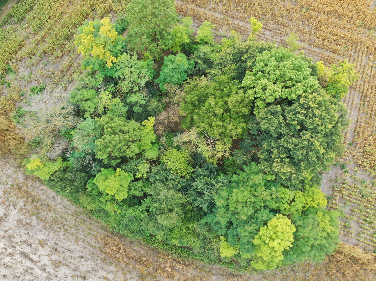 Kaloz-Jewish-Cemetery-drone