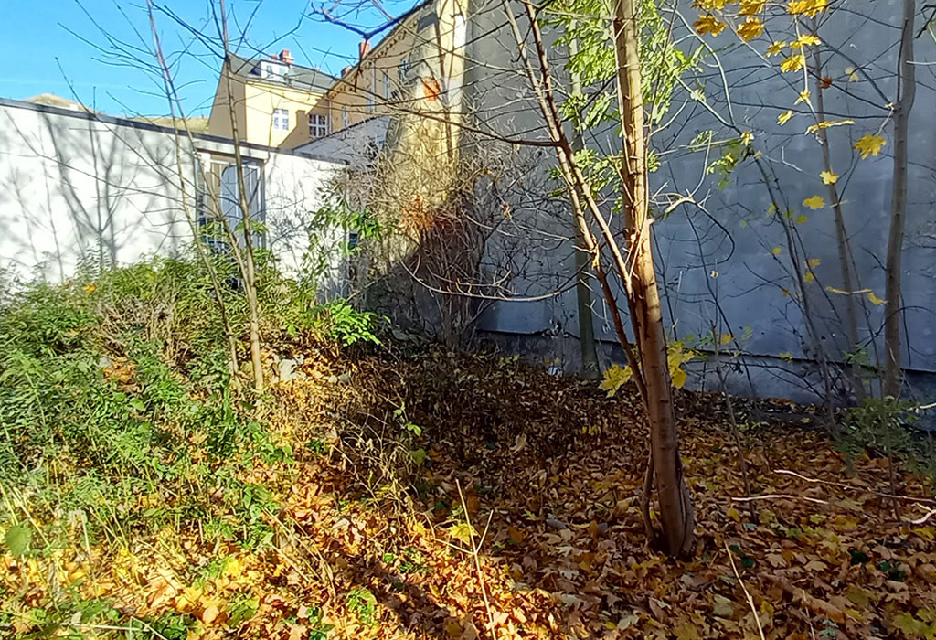 Kłodzko (medieval) Jewish Cemetery