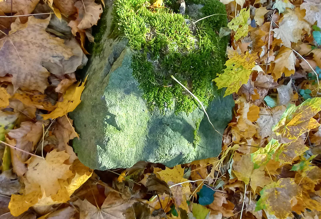Kłodzko (medieval) Jewish Cemetery