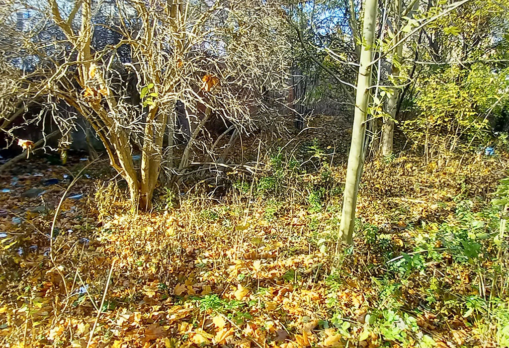 Kłodzko (medieval) Jewish Cemetery