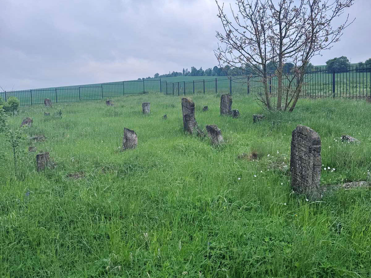 Kupyn-Jewish-Cemetery-fenced-ESJF-3