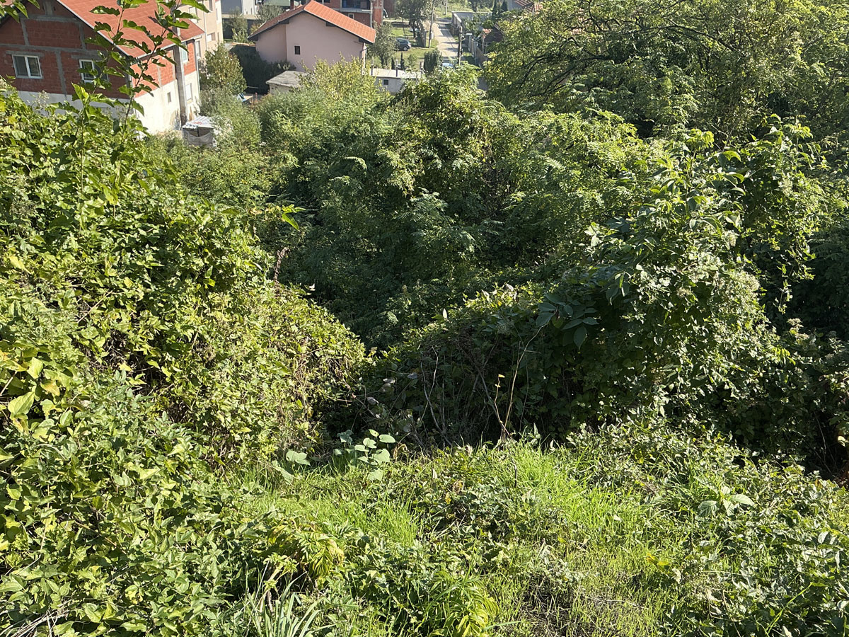 Leskovac-Jewish-Cemetery-3