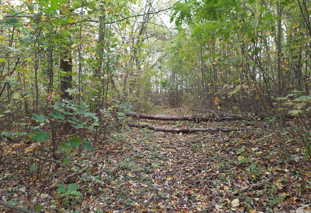 Lezajsk Jewish Cemetery