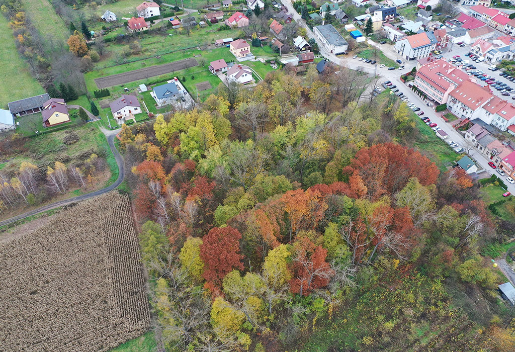 Lezajsk Jewish Cemetery