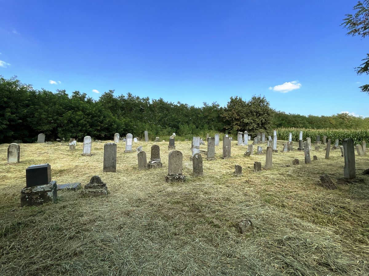 Mediesu-Aurit-Jewish-Cemetery-1